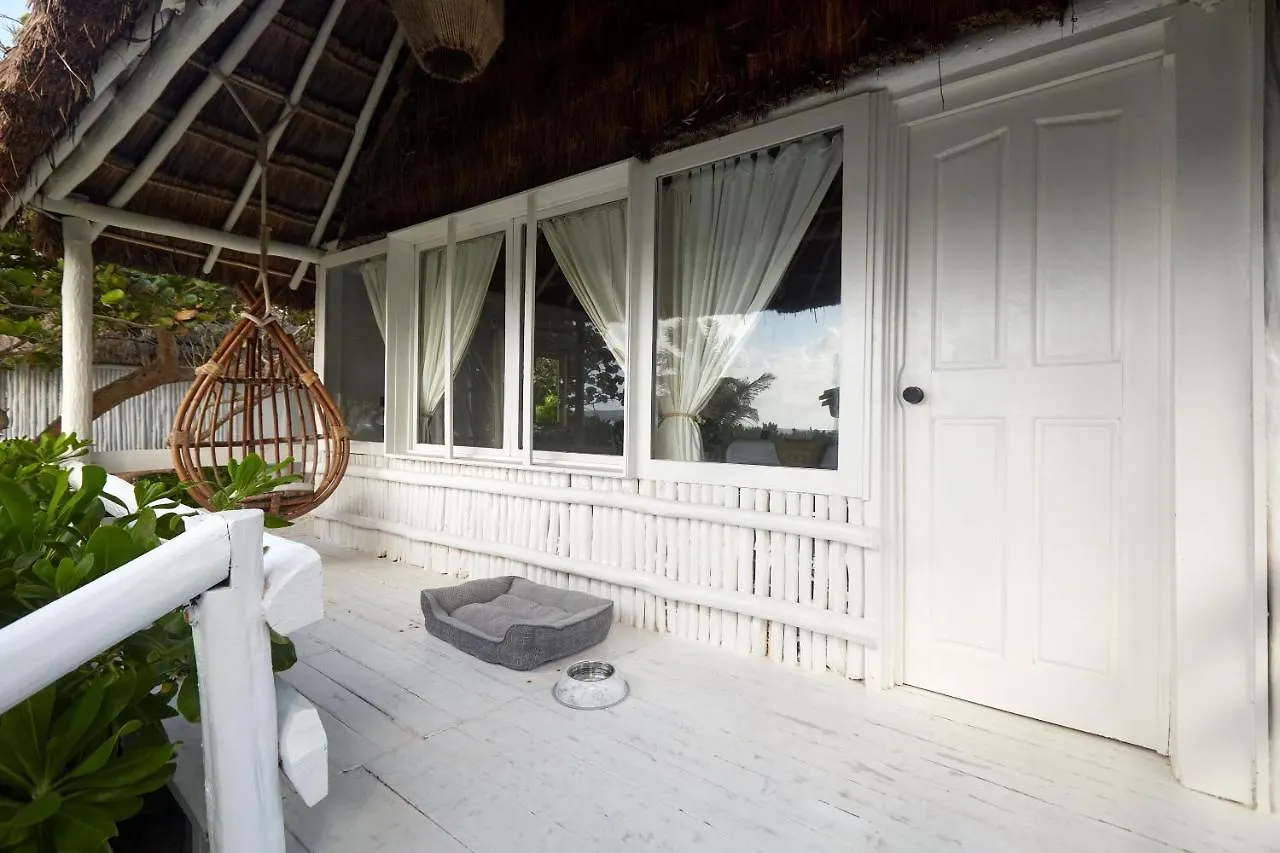 Roc Luxe Tulum Hotel