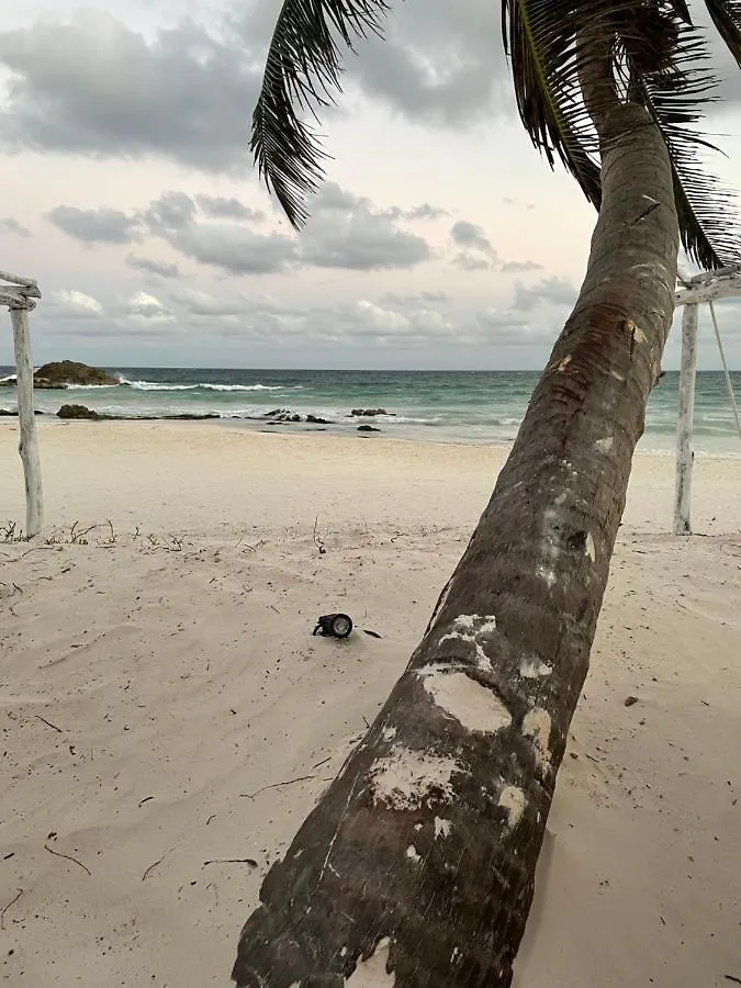 *****  Roc Luxe Tulum Hotel Mexikó