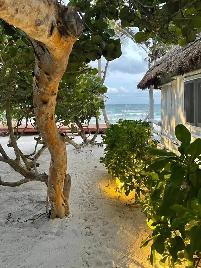 Roc Luxe Tulum Hotel