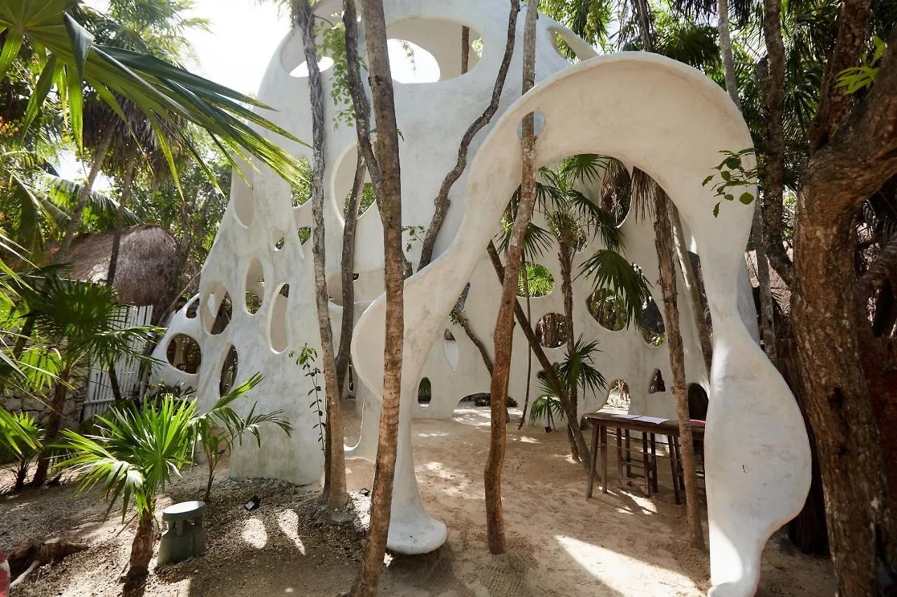 Roc Luxe Tulum Hotel