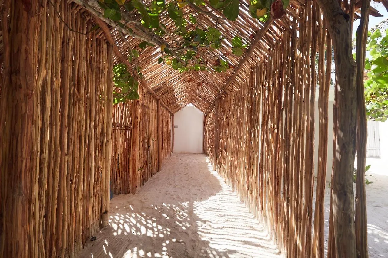 Roc Luxe Tulum Hotel
